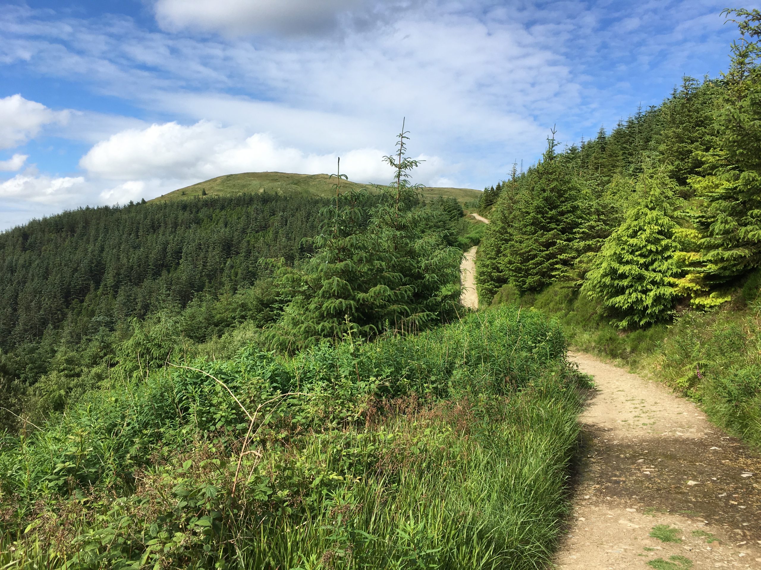 2017-06-24 Kilbroney 01